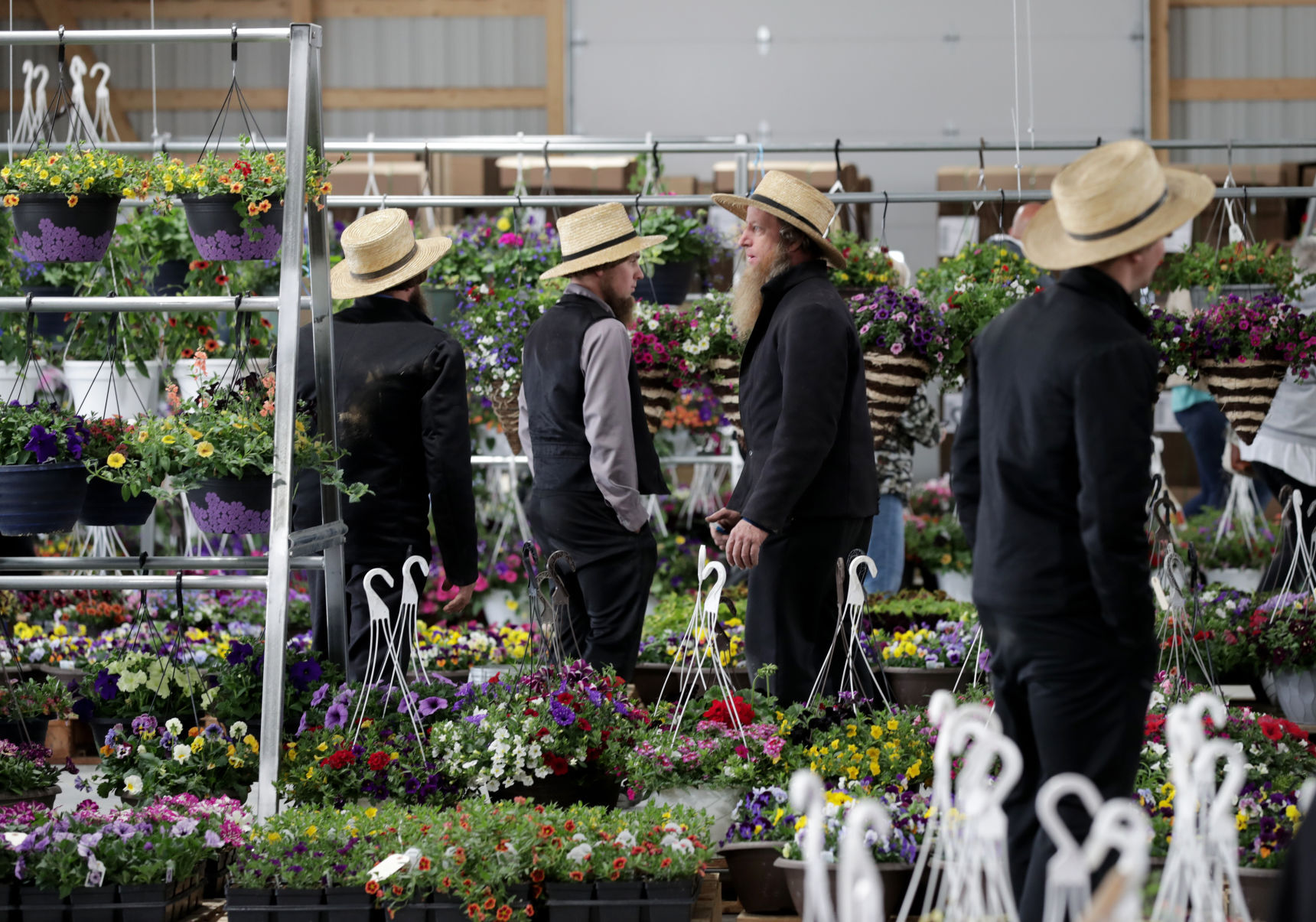 Platteville Produce Auction
